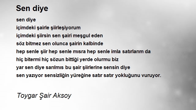 Toygar Şair Aksoy