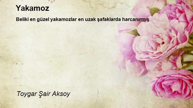 Toygar Şair Aksoy