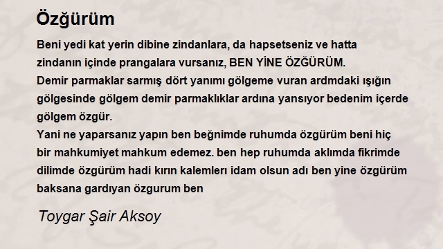 Toygar Şair Aksoy