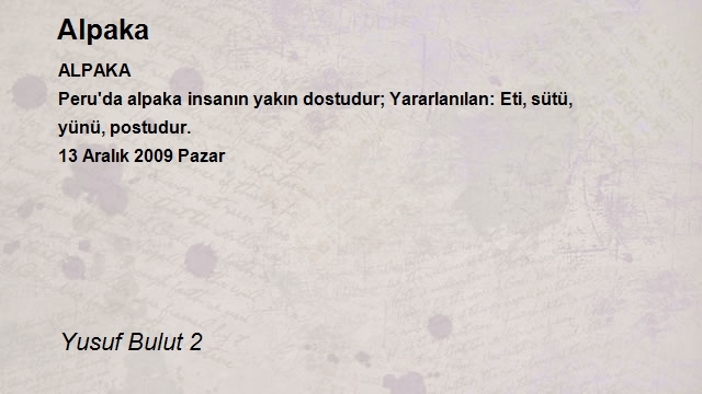 Yusuf Bulut 2