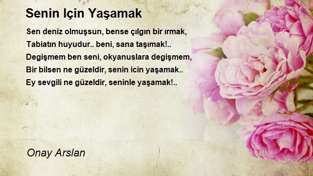 Onay Arslan