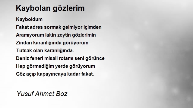 Yusuf Ahmet Boz