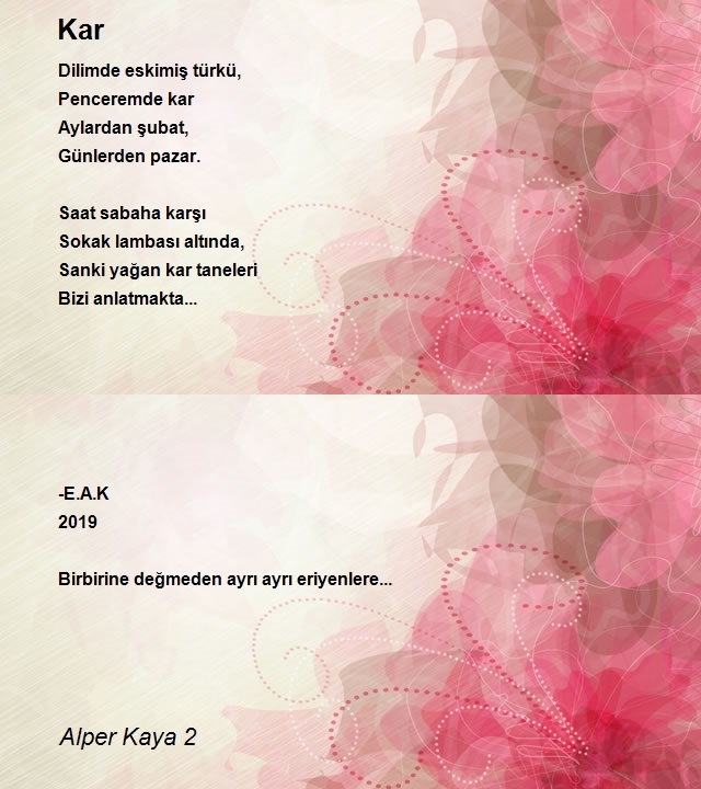 Alper Kaya 2