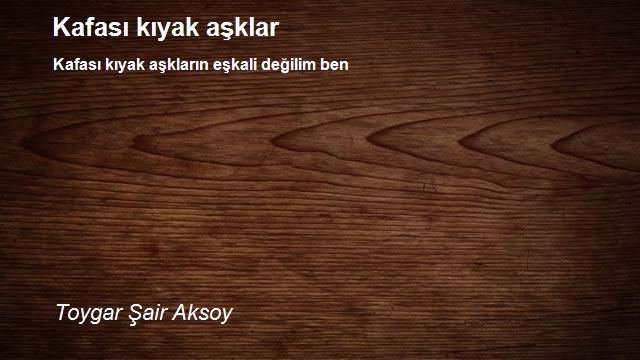 Toygar Şair Aksoy