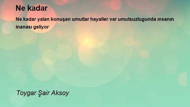 Toygar Şair Aksoy