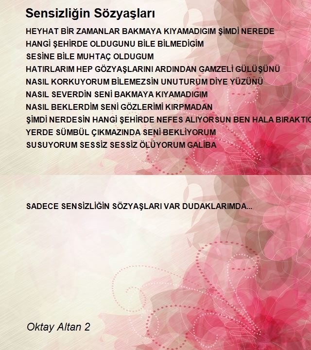 Oktay Altan 2