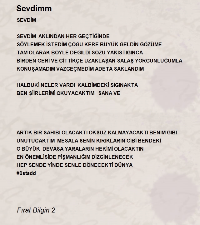 Fırat Bilgin 2