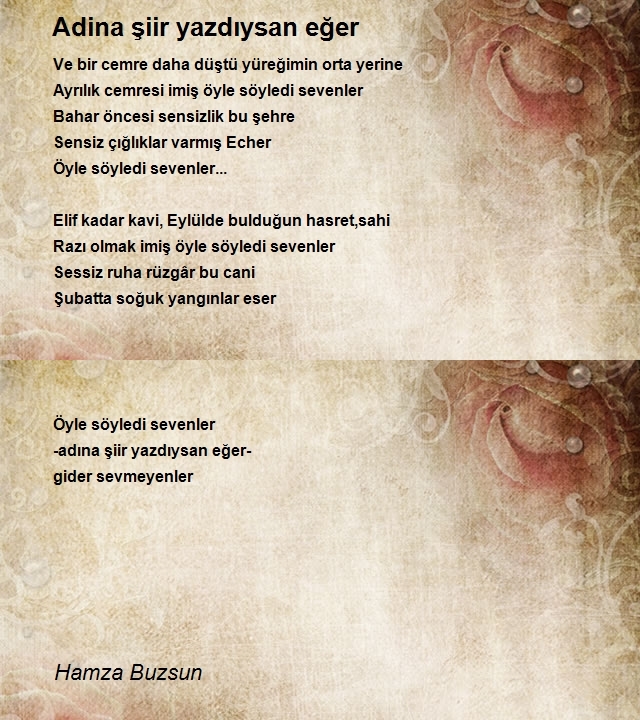 Hamza Buzsun