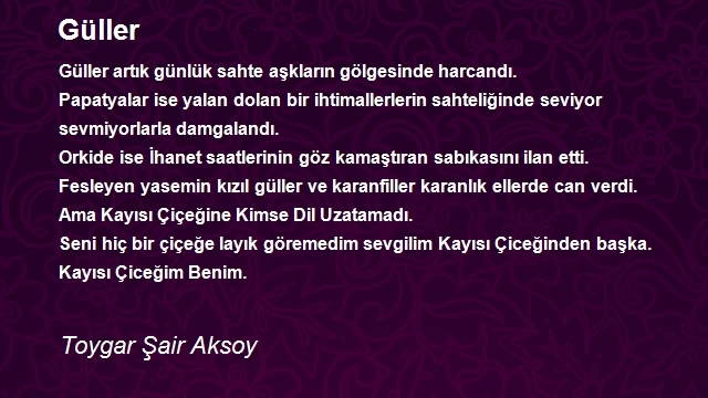 Toygar Şair Aksoy