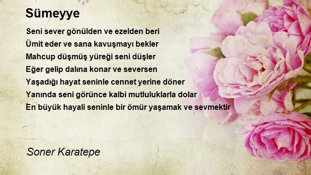 Soner Karatepe