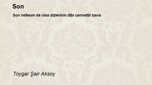 Toygar Şair Aksoy