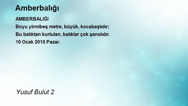 Yusuf Bulut 2