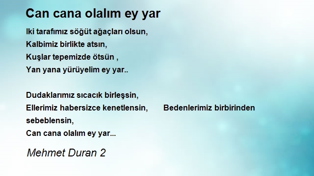 Mehmet Duran 2