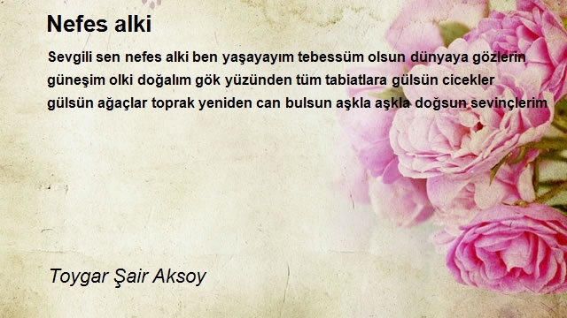 Toygar Şair Aksoy