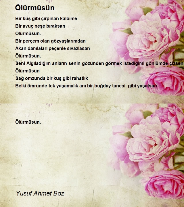 Yusuf Ahmet Boz