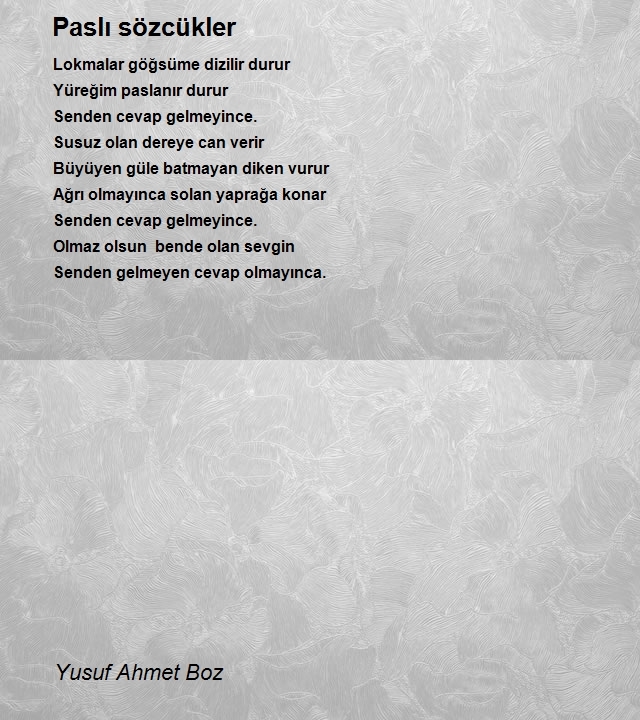 Yusuf Ahmet Boz