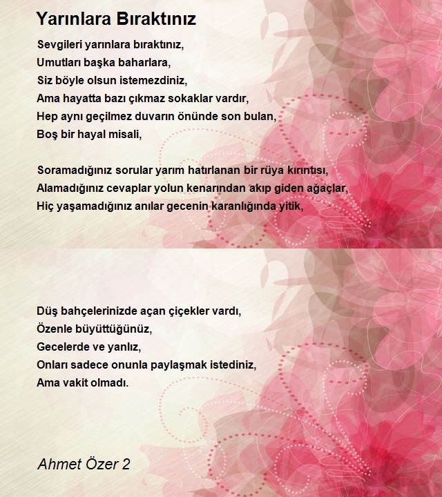 Ahmet Özer 2