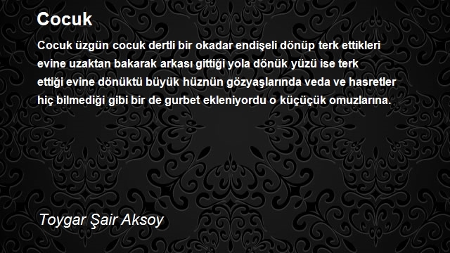 Toygar Şair Aksoy