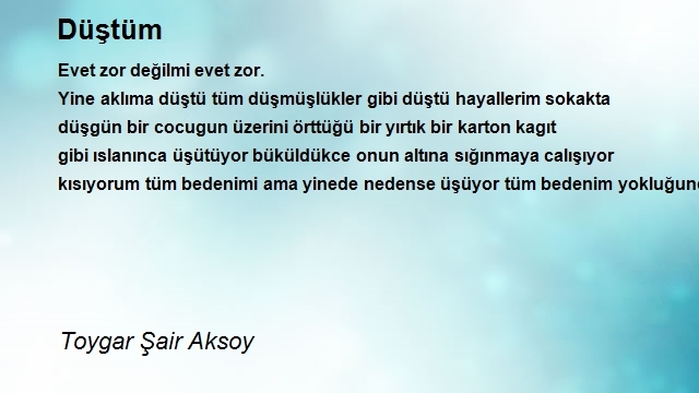 Toygar Şair Aksoy