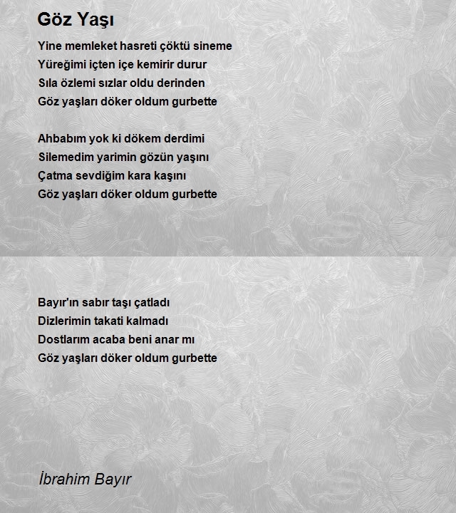 İbrahim Bayır