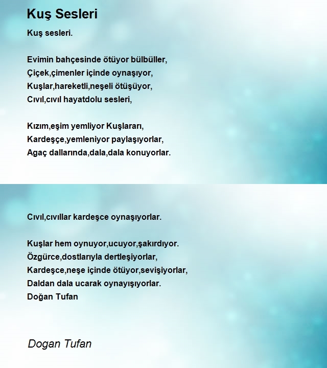 Dogan Tufan