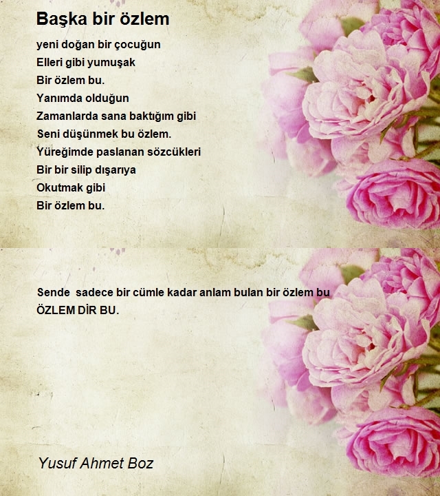 Yusuf Ahmet Boz