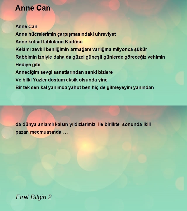 Fırat Bilgin 2