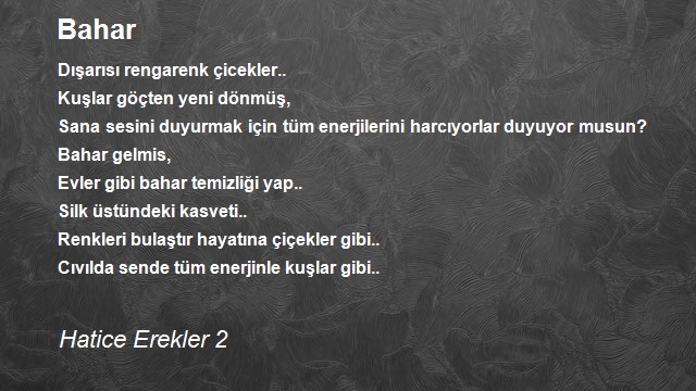 Hatice Erekler 2