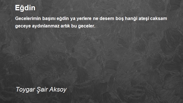 Toygar Şair Aksoy