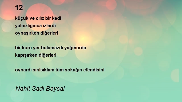 Nahit Sadi Baysal