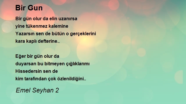 Emel Seyhan 2