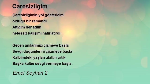 Emel Seyhan 2