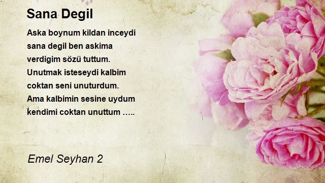 Emel Seyhan 2