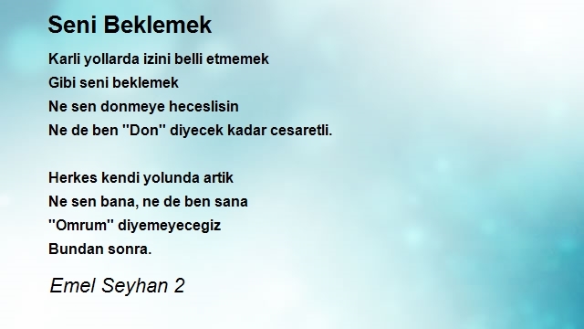 Emel Seyhan 2