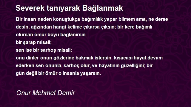 Onur Mehmet Demir