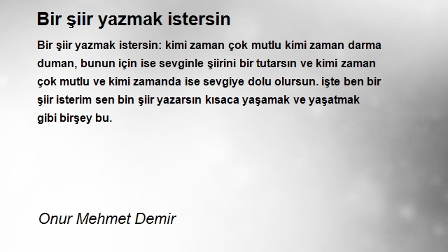 Onur Mehmet Demir