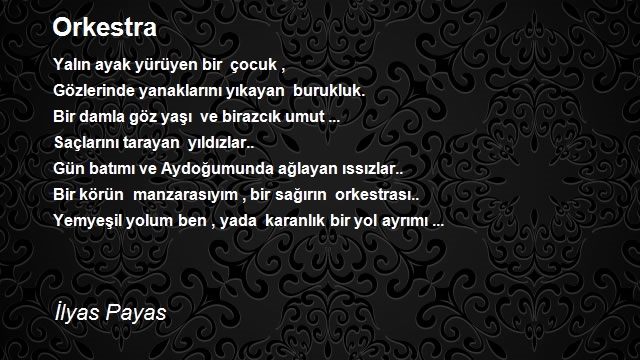 İlyas Payas