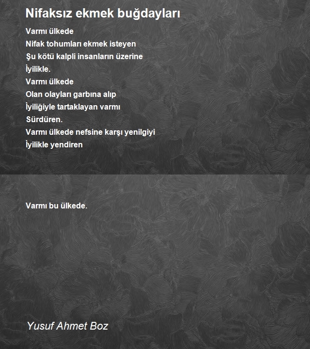 Yusuf Ahmet Boz