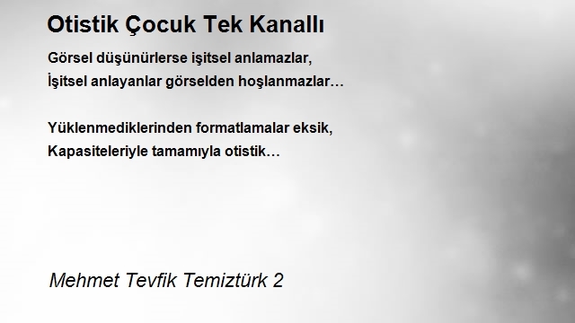 Mehmet Tevfik Temiztürk 2