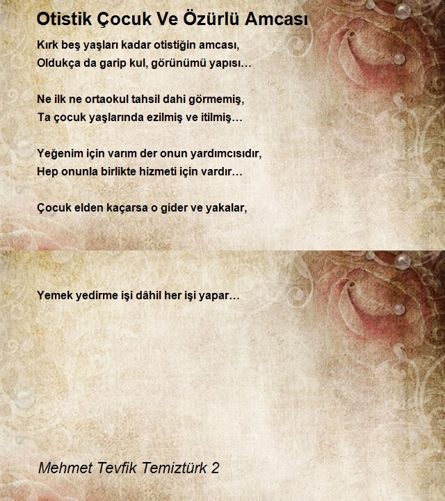 Mehmet Tevfik Temiztürk 2