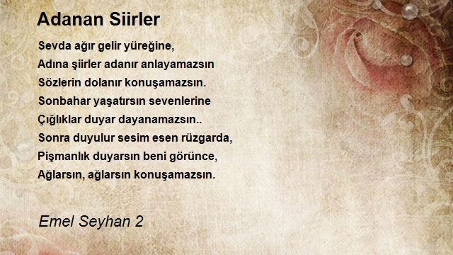 Emel Seyhan 2