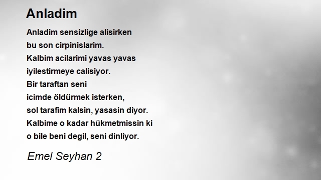 Emel Seyhan 2