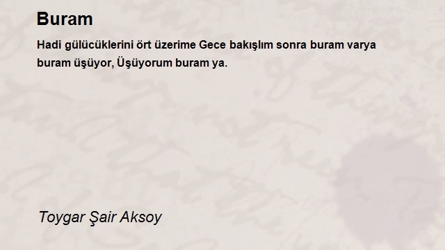 Toygar Şair Aksoy