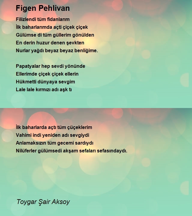 Toygar Şair Aksoy