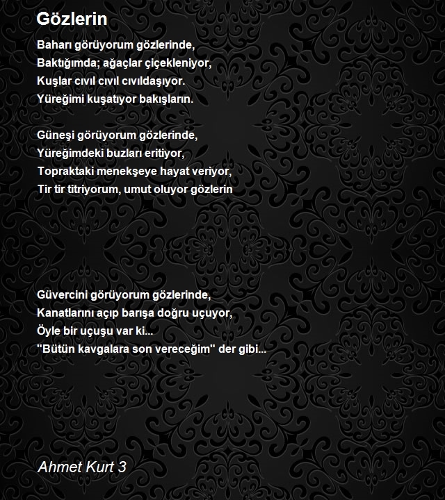 Ahmet Kurt 3