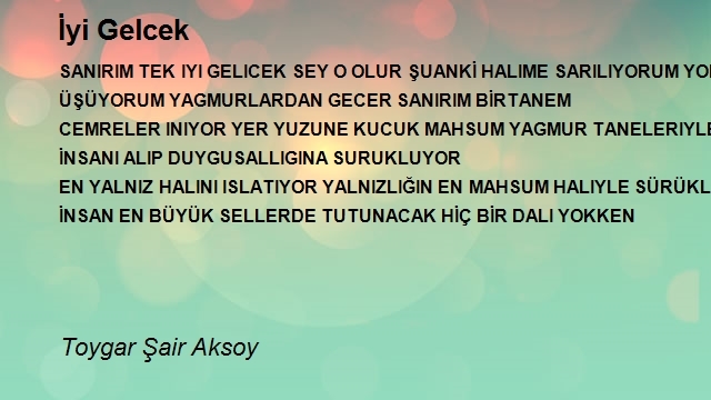 Toygar Şair Aksoy