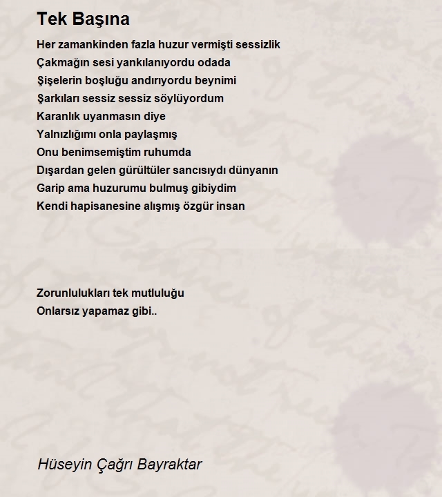 Hüseyin Çağrı Bayraktar