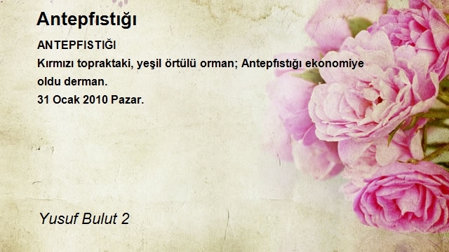 Yusuf Bulut 2