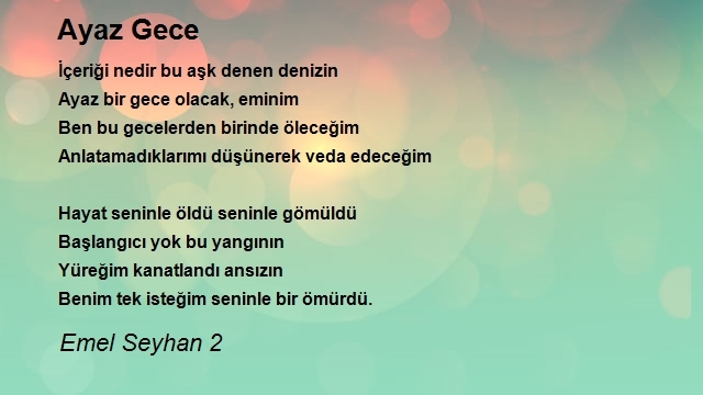 Emel Seyhan 2