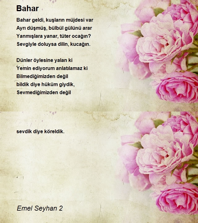 Emel Seyhan 2